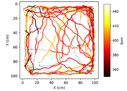Heart and breathing rate extracted from fUSI data
